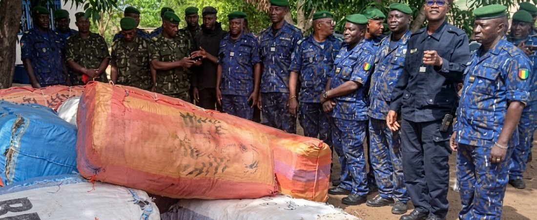 Lola : 223 kg de chanvre indien saisis, trois personnes interpellées