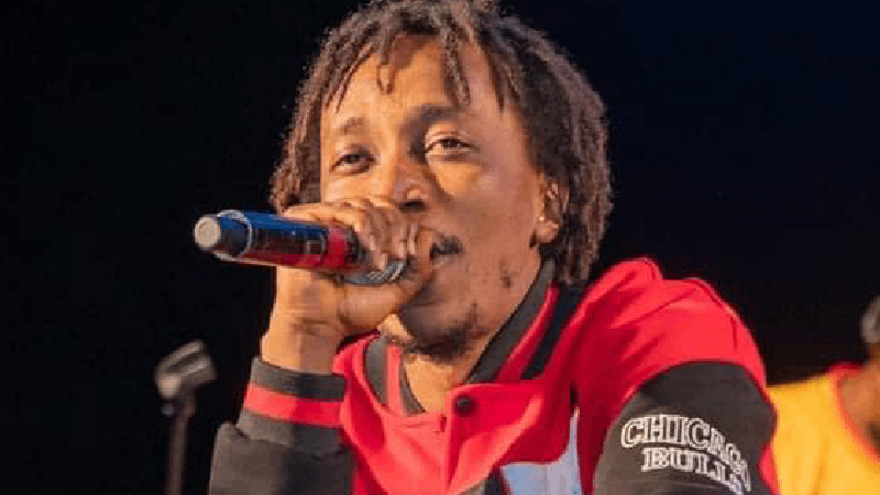 Capture d'écran du clip "Déclin"