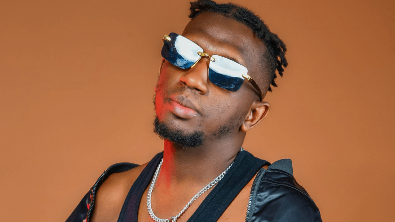 TBS Skyboyz, artiste chanteur guinéen 